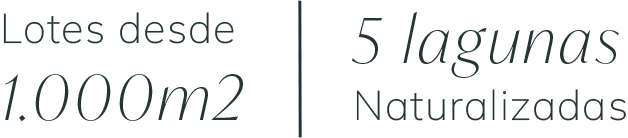 UNA PROPUESTA ÚNICA - Aura